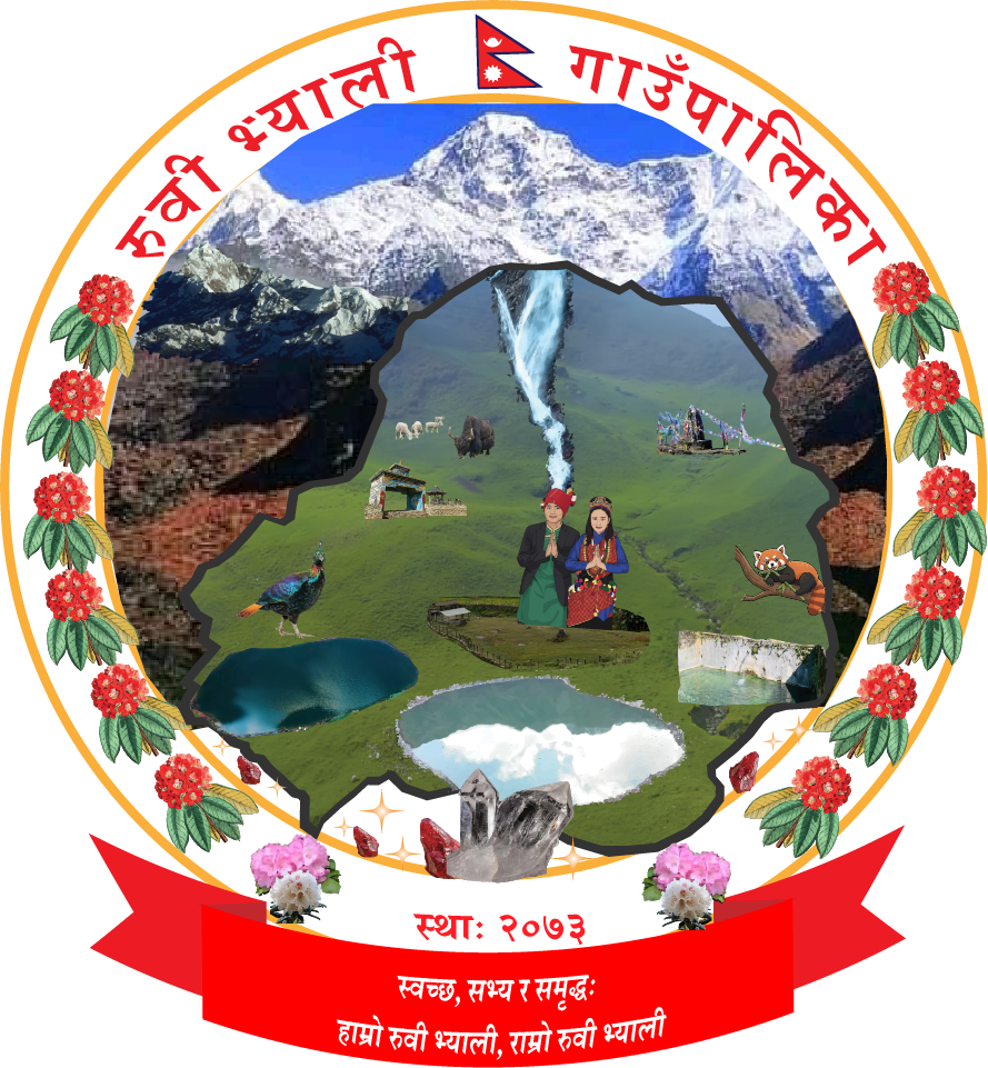 Local Government Logo